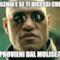 ilenia e se ti dicessi che provieni dal molise?