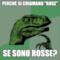 Perchè si chiamano "rose" se sono rosse?