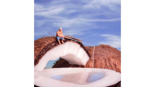 Cocco bello