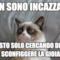 Non sono incazzato sto solo cercando di sconfiggere la gioia