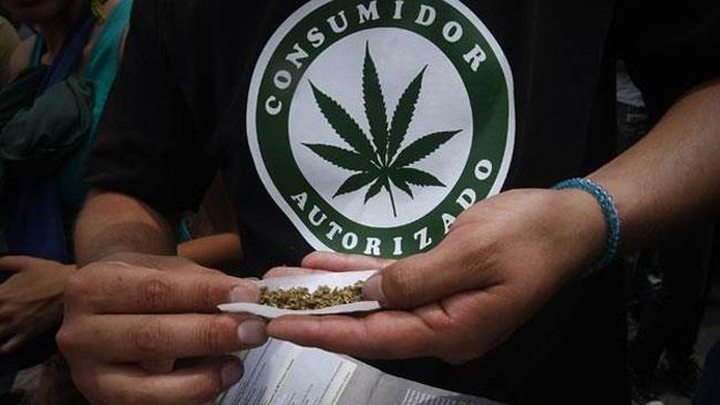 Fumare Marijuana è un diritto umano in Messico Fumare Marijuana è un diritto umano secondo i giudici messicani