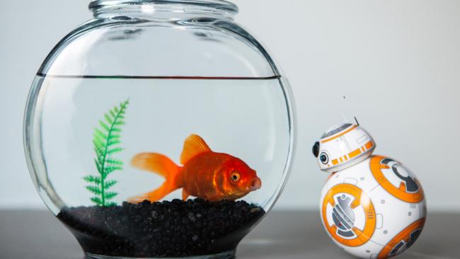 In arrivo ad autunno, il nuovo modello sarà manovrabile con semplici movimenti della mano. Se prima bastava usare il touchscreen, ora il nuovo BB-8 sarà manovrabile con... la Forza!