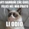 Quanti bambini che giocano felici nel mio prato LI odio