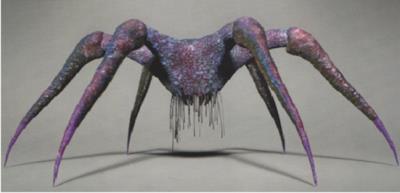 La specie Neocidaris schwarzenheggeri