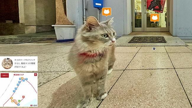 Cat Street View ti fa esplorare le mappe della città dal punto di vista dei gatti Uno dei gatti di Cat Street View
