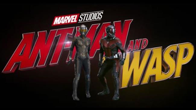 Ant-Man e Wasp I due eroi del film