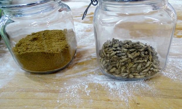 Gli ingrediente del pane a base di grilli
