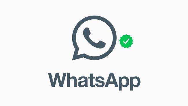 La spunta verde di WhatsApp, cos’è e a che serve La spunta verde di WhatsApp