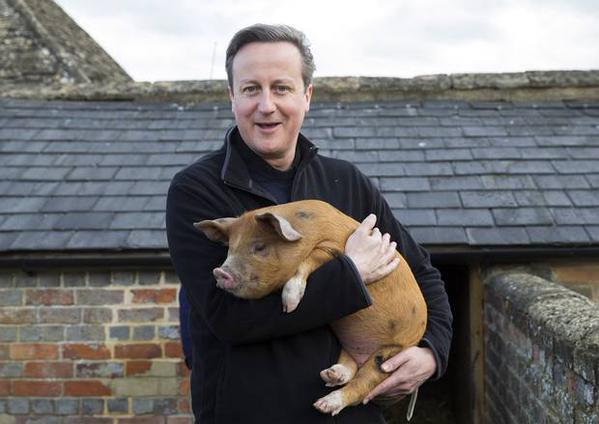 David Cameron, al centro del #PigGate