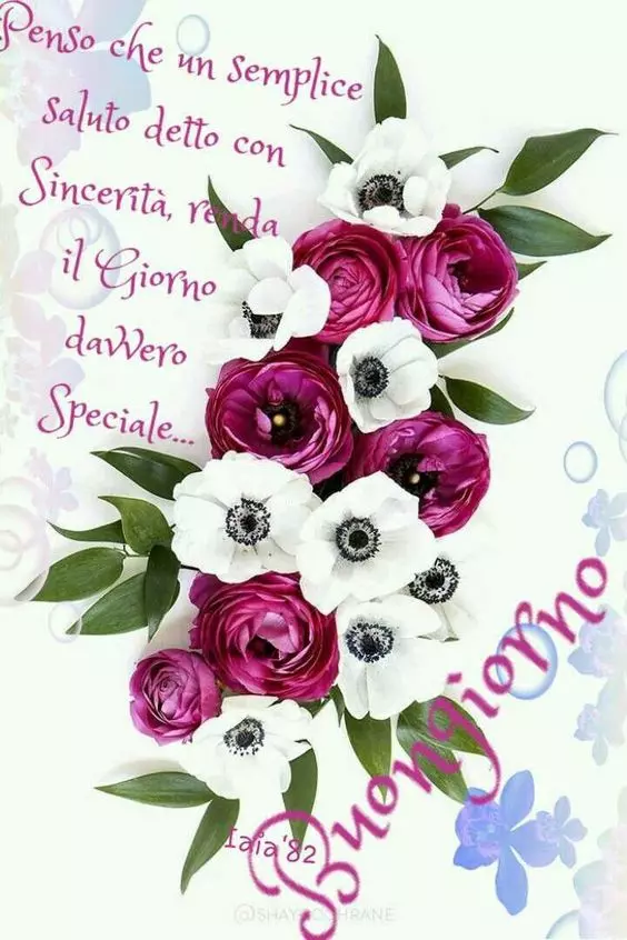 Fiori, le più belle immagini per il buongiorno, buonanotte e buon compleanno