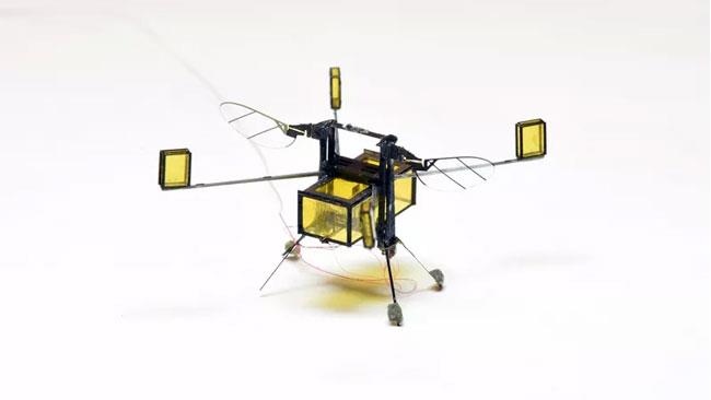 Harvard migliora le RoboApi progettate nel 2013 Il modello definitivo di RoboApi