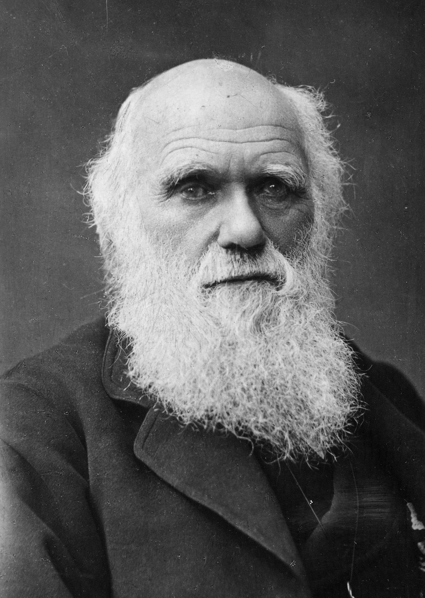 Charles Darwin, musa dei Darwin Awards