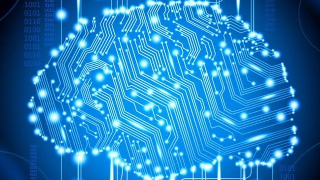 La startup che crea una copia in digitalizzata del tuo cervello, ma prima devi morire Un ipotetico cervello digitale