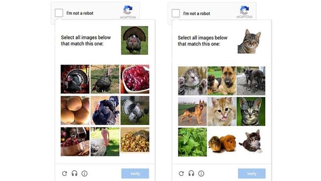 Pagine web con Sistema Captcha