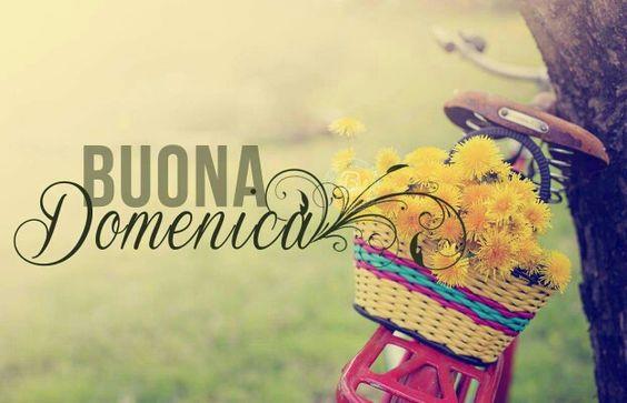 Un cestino di fiori su una bicicletta