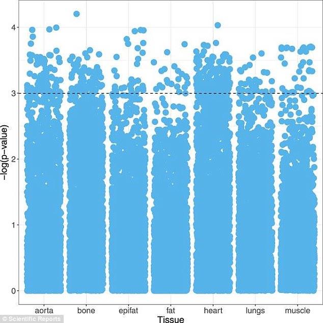 Un grafico predittivo elaborato dal sistema sulla morte di un paziente entro cinque anni, analizzando le condizioni di sette tessuti diversi