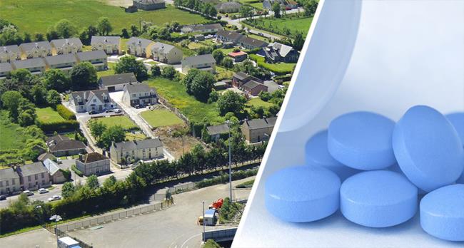 Effluvi di Viagra da una fabbrica: uomini e cani eccitati ovunque La città di Ringaskiddy e il Viagra