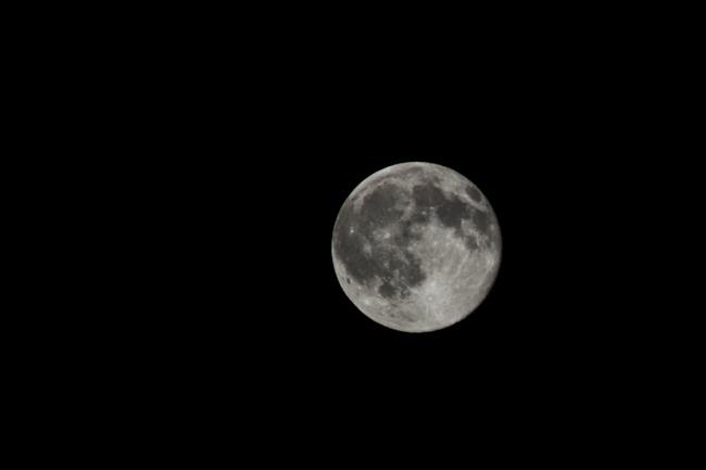 La Luna Una splendida luna piena