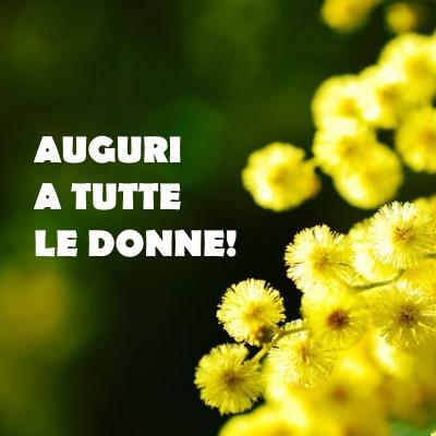Un ramo di mimosa - Immagini di auguri per la Festa della Donna