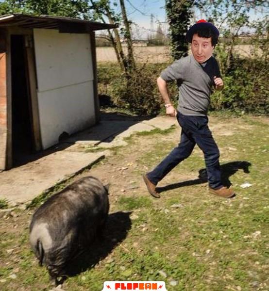 Alvaro Vitali inseguito dal maiale di Salvini