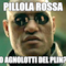 Pillola Rossa O Agnolotti del Plin?