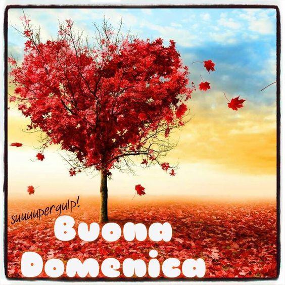 Un albero a forma di cuore