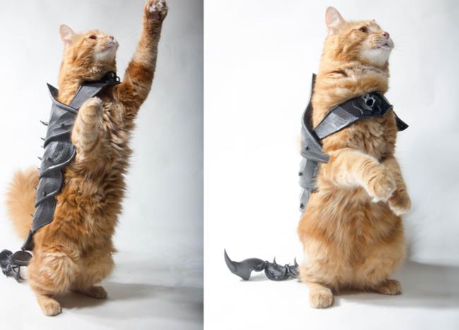 L'armatura per gatto creata con la stampa 3D