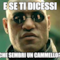 e se ti dicessi che sembri un cammello?