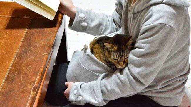 La felpa con tasca per animali terrà il tuo amico peloso sempre vicino a te Un gatto accoccolato nella tasca della felpa