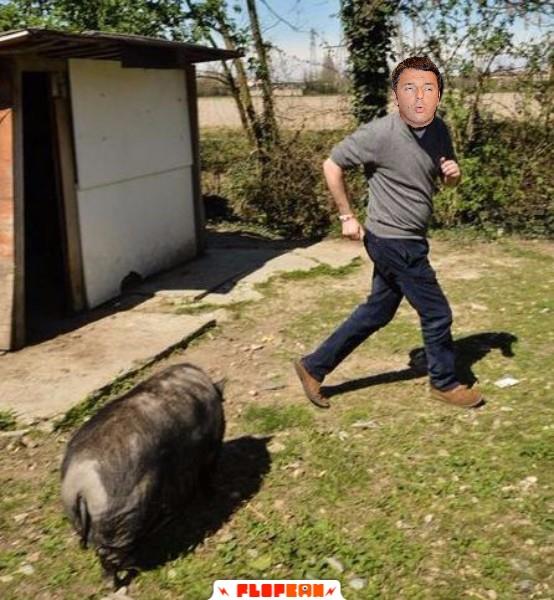 Renzi inseguito dal miale di Salvini