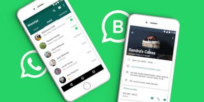 Account normali e business di WhatsApp