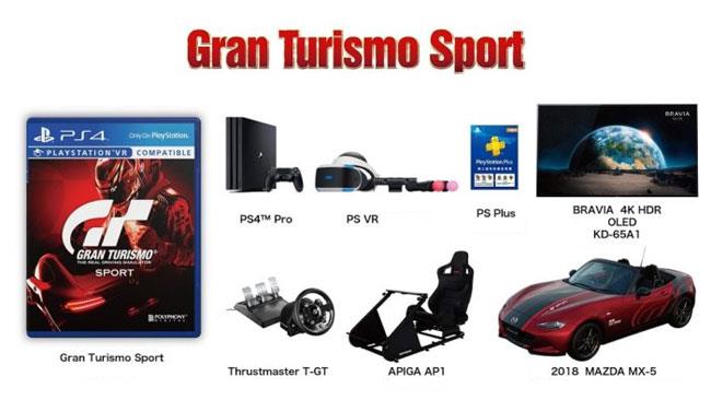 Gran Turismo Sport Limited Edition di Gran Turismo Sport, venduto a 47mila dollari.