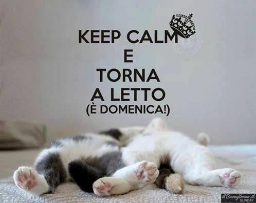 Due gatti addormentati