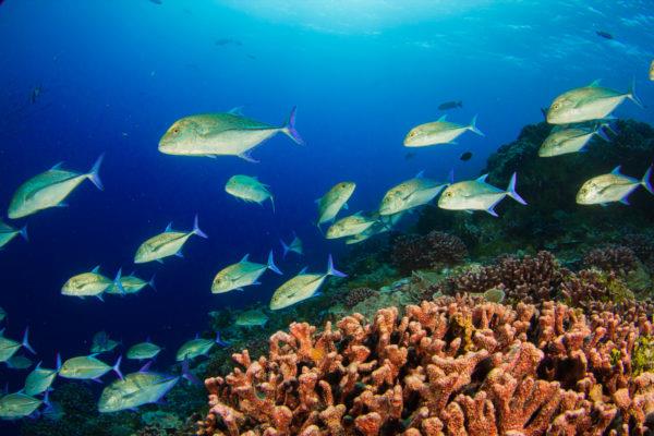 Una foto scattata per la 100 Island Challenge