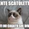 niente scatoletta? e io ti ho cagato sul divano
