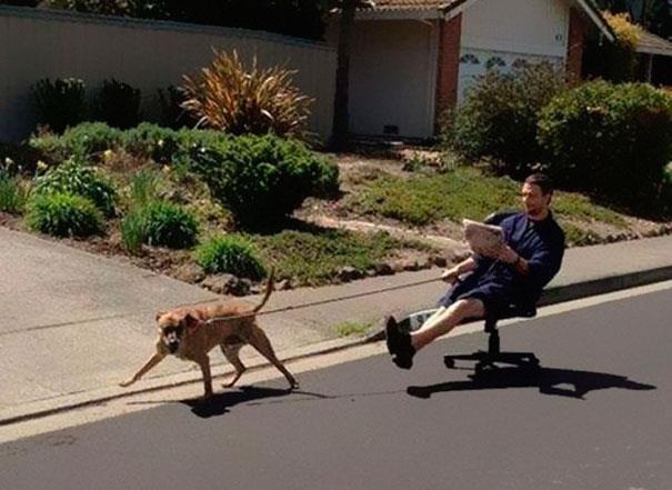 Uomo si fa portare in giro dal cane