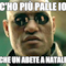 c'ho più palle io che un abete a Natale