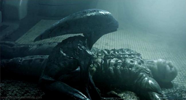 Alieno Xenomorfo che si pappa un ingegnere Alieno Xenomorfo in Prometheus