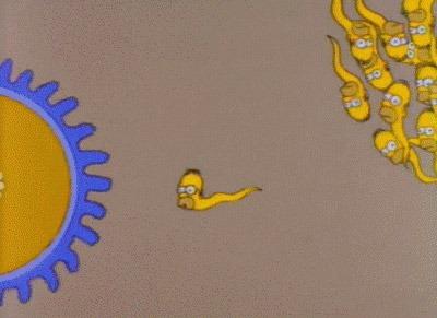 La fecondazione tratta da un episodio dei Simpson