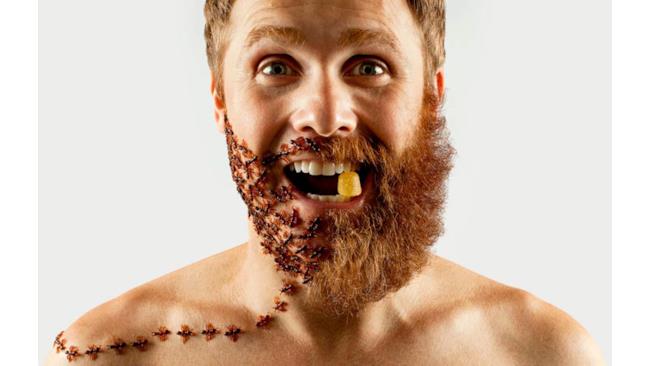 Formiche sostituite alla barba