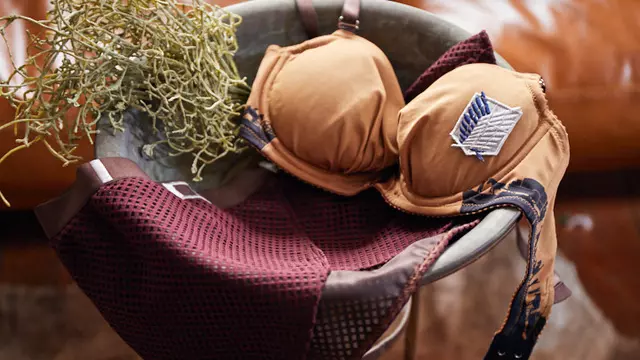 Disponibile reggiseno e slip dell'attacco dei giganti L'intimo dell'attacco dei giganti