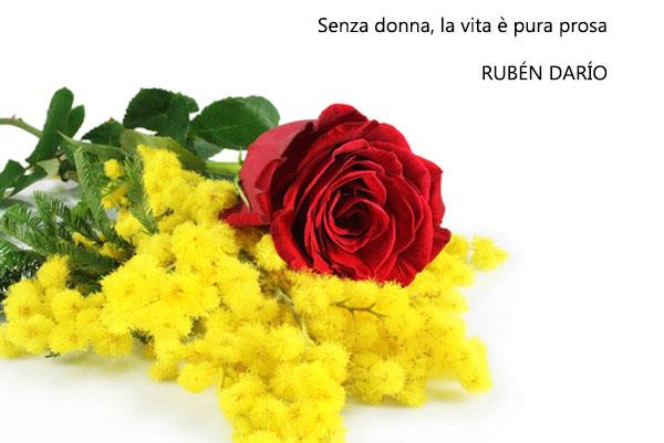 Una rosa con una mimosa - Immagini per la Festa della Donna