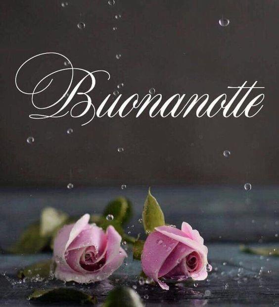 Due rose sotto a pioggia - Fiori, le più belle immagini per il buongiorno, buonanotte e buon compleanno
