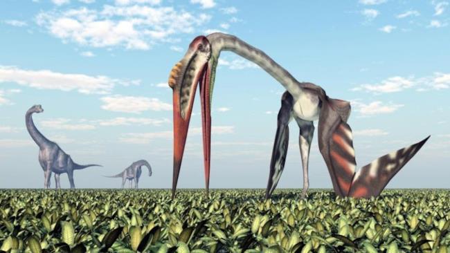 Ecco come sarebbe dovuto apparire il dinosauro Una ricostruzione digitale di come sarebbe dovuto apparire l'essere.