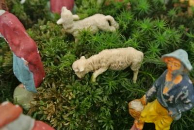 Un presepe