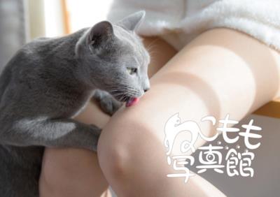 Un gatto lecca delle cosce