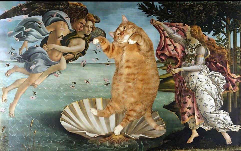 Esperimento virale per diffondere l'arte: gatto che entra nelle opere d'arte