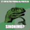C'è un'altra parola al posto di sinonimo?