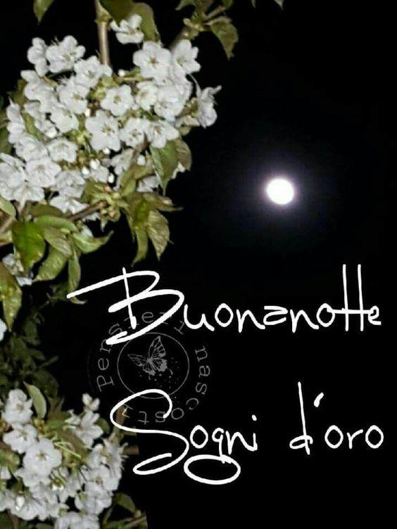 Dei fiori al chiaro di luna - Fiori, le più belle immagini per il buongiorno, buonanotte e buon compleanno