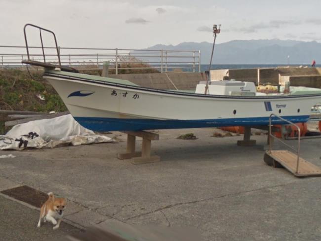 Il cucciolo è partito in quarta!